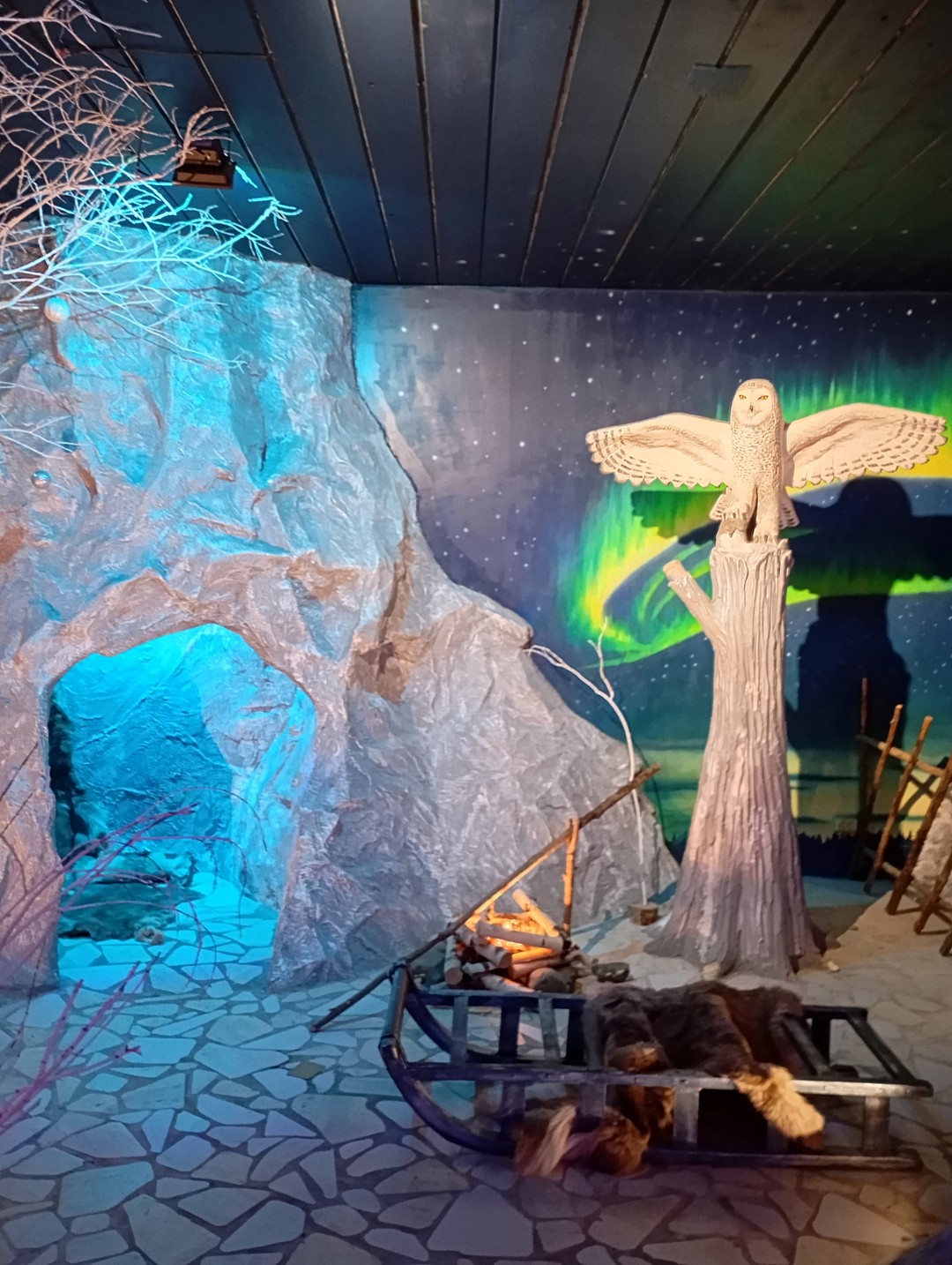 Путешествие к хаски и северным оленям - из Петрозаводска (Анастасия)