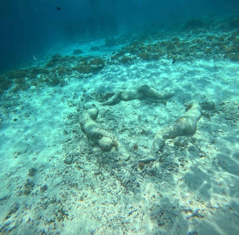 Большое спасибо за подаренные искренние, настоящие эмоции - я словно снова вернулась в детство. Подводный мир