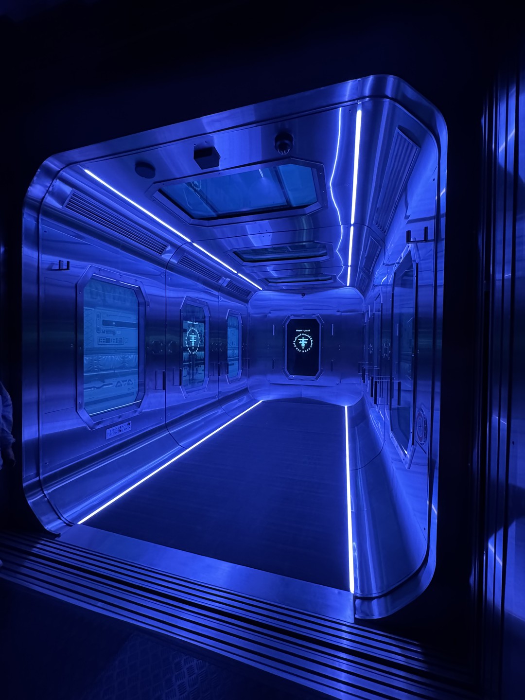 К Виктории вопросов нет. Все чудесно прошло. Билеты оплатили, нам прислали подтверждение и с этими билетами мы пошли в музей