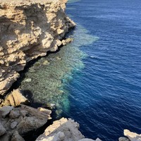 Фото отзыва 2: экскурсия "Наземные и подводные красоты заповедника Рас-Мохаммед"