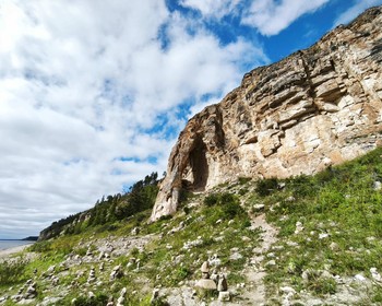 Лесные бизоны и Ленские столбы