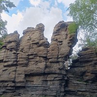 reviews img