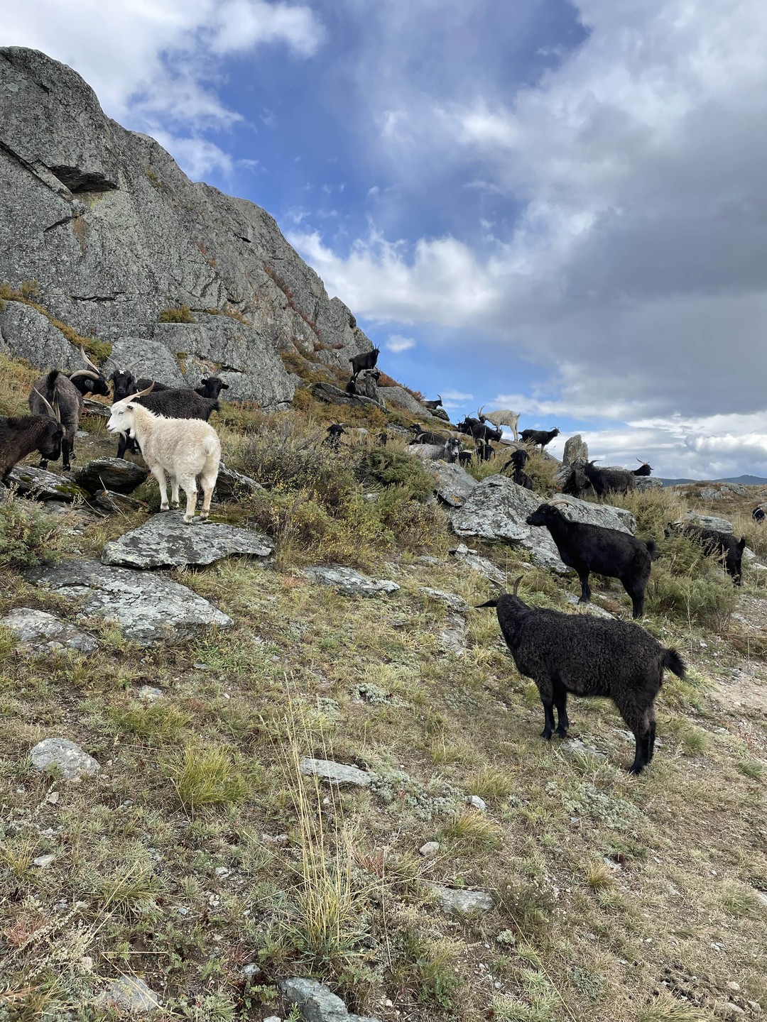 Вот и завершился этот чудесный 4-х дневный тур по горному Алтаю. Нас было 5 туристов +