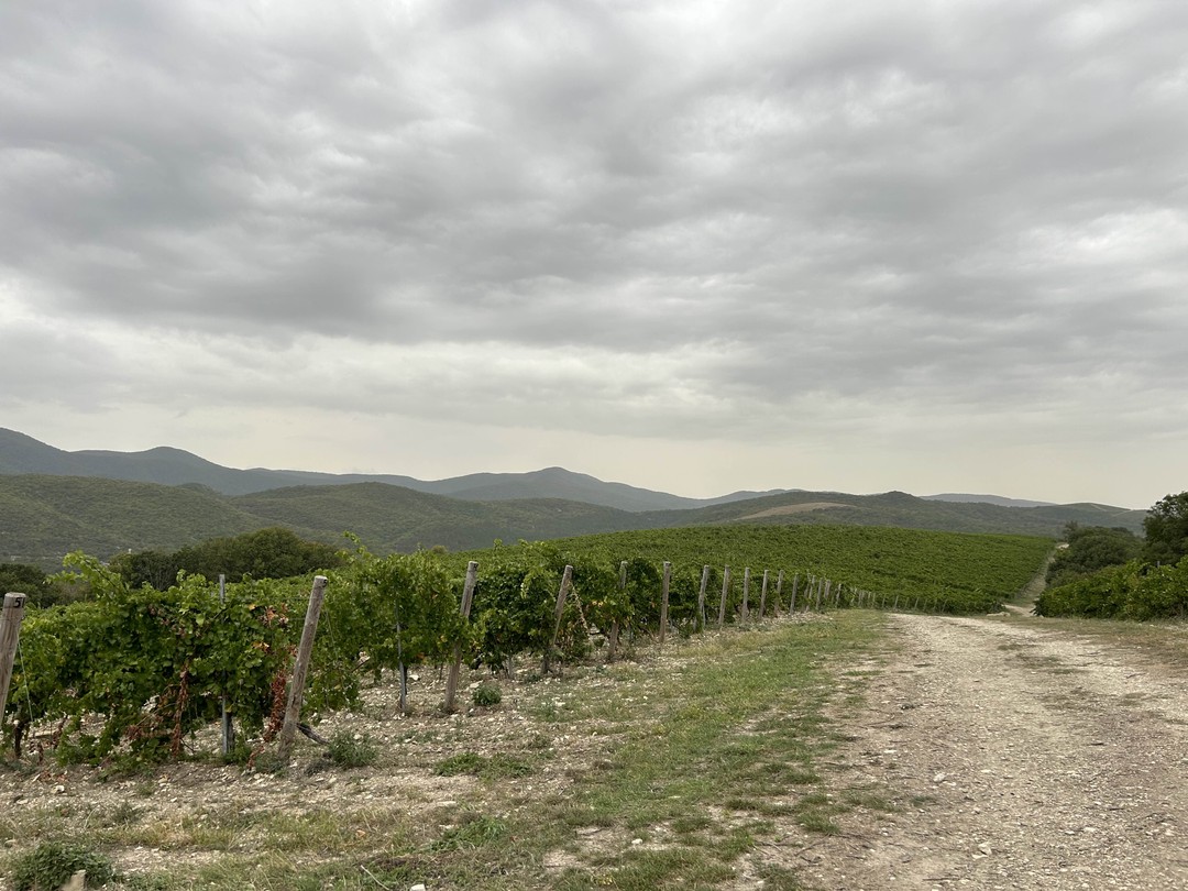 Абрау-Дюрсо, или Добро пожаловать в черноморскую Швейцарию (Daria)