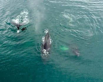 Териберка - путешествие на край земли