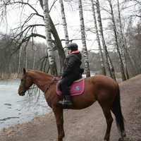 Фото отзыва 2: экскурсия "Тайны старинной усадьбы: Ворошиловская дача и конная прогулка"