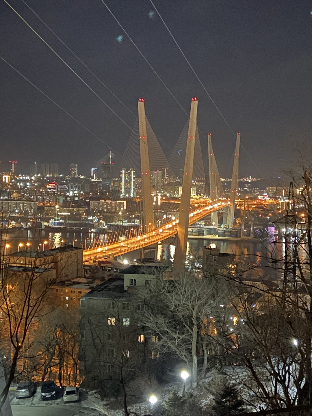 Ночные огни Владивостока (в группе) (Галина)