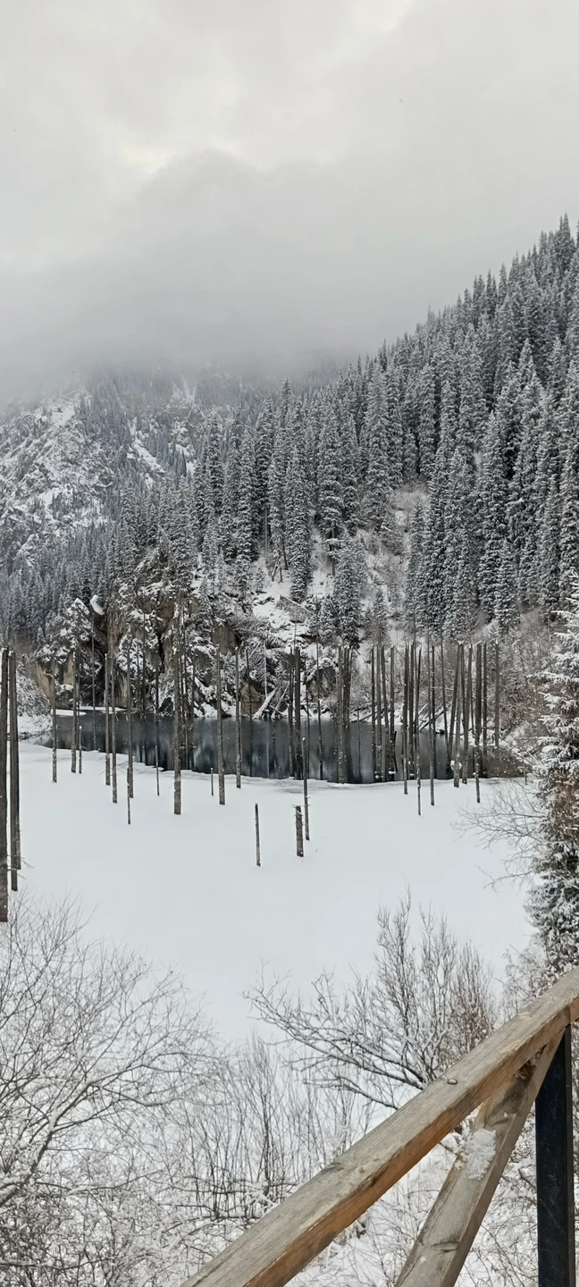 Спасибо большое команде организаторов Юле и Диме за своевременное информирование, ответы на вопросы в чате, дружелюбную