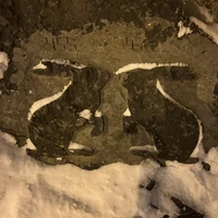 Фото отзыва 2: экскурсия "Погружение в Карелию: из Петрозаводска в Медвежьегорск"