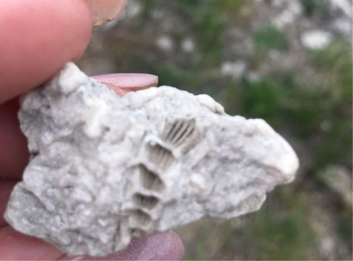 По живописным местам Башкирии (13/15)