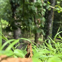 Фото отзыва 6: экскурсия "Воронцовские пещеры: групповой тур в сердце горного Сочи"
