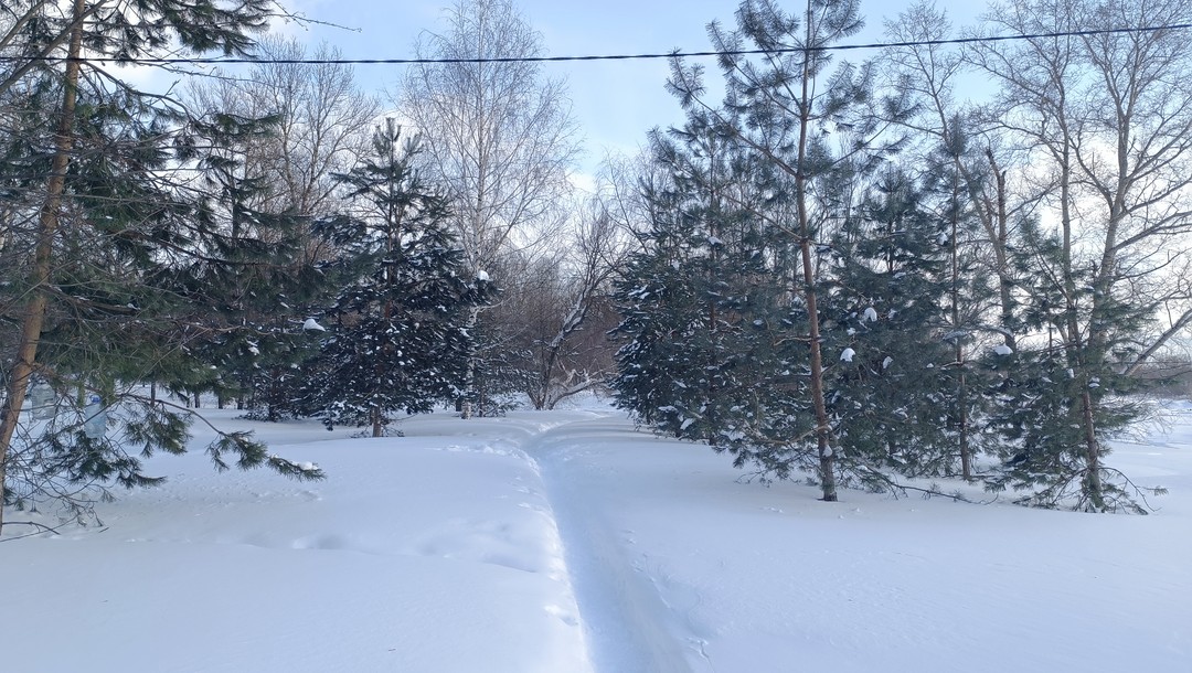 Огромное спасибо за экскурсию. Ярославль-город с богатейшей историей, и очень важно, с каким проводником ты в