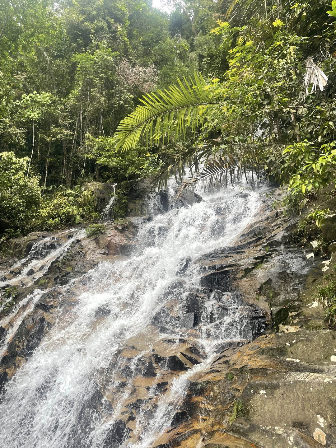 Потрясающая экскурсия!