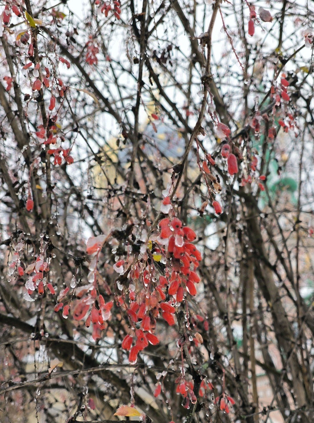 Отличная экскурсия, не смотря на ужасную погоду и реставрационные работы на территории, 3 часа пролетели незаметно!