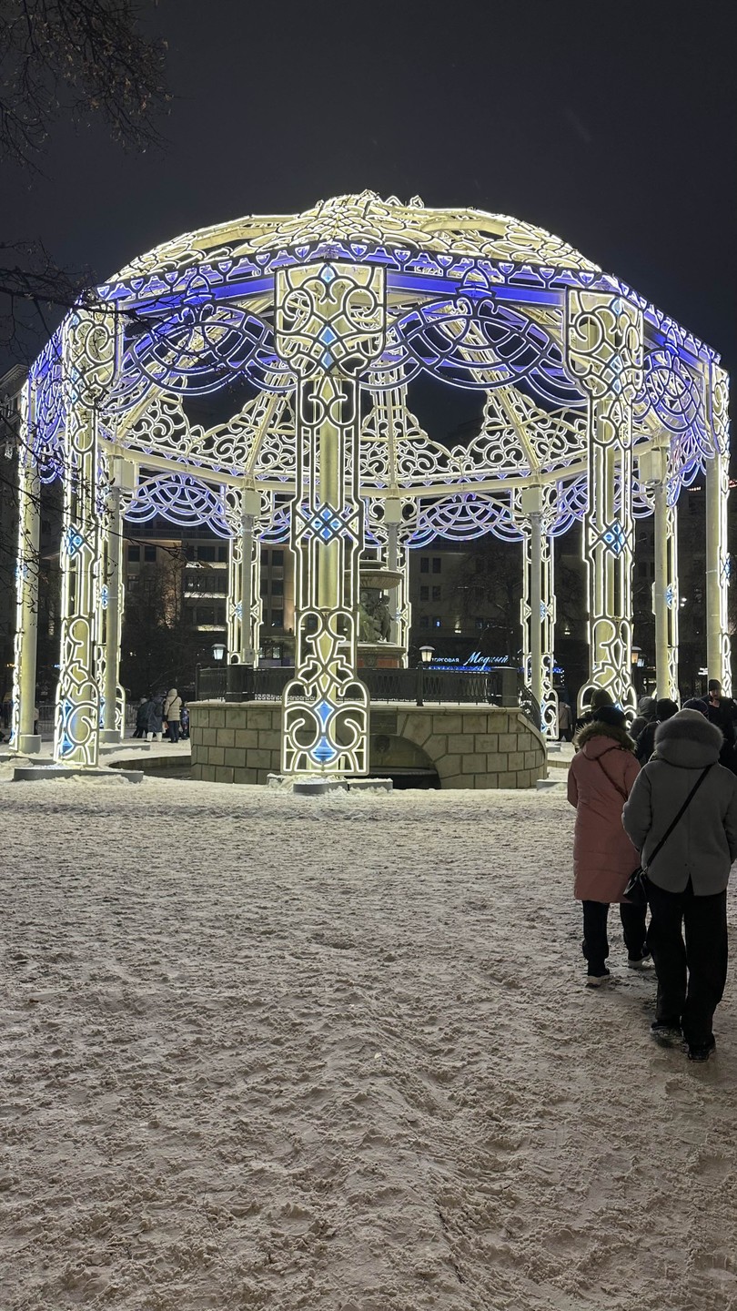 Новый год в Москве от Петра до наших дней: история праздничного освещения (Елена)