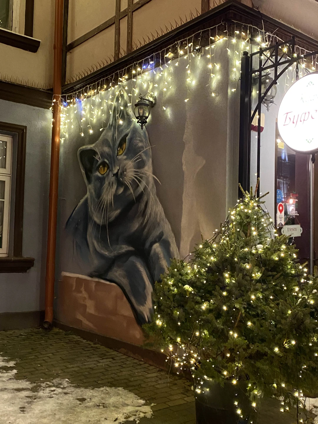 Прекрасная экскурсия по Рождественскому Зелиноградску! Побывали в сказке!