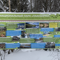 Фото отзыва 7: экскурсия "Карелия заповедная: прогулка по экотропе"