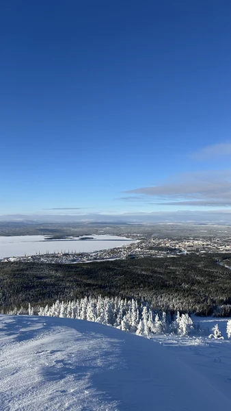 отличная экскурсия-путешествие, рекомендую от души!
