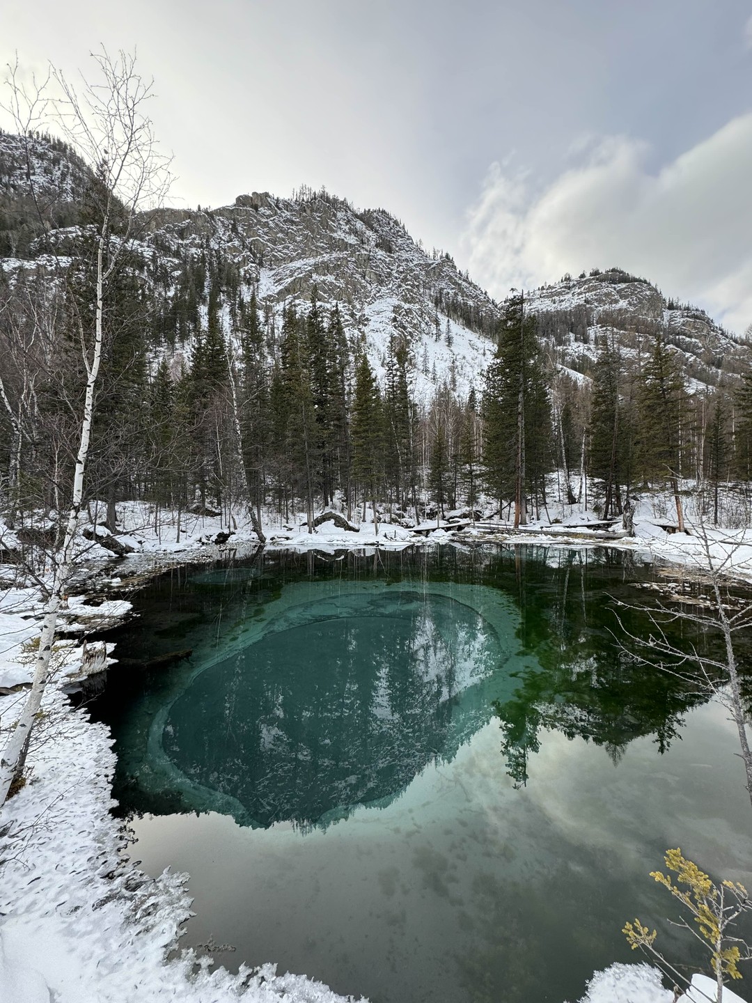 Ирина отлично знает местные достопримечательности, историю и культуру Алтая. Во время наших экскурсий она была очень