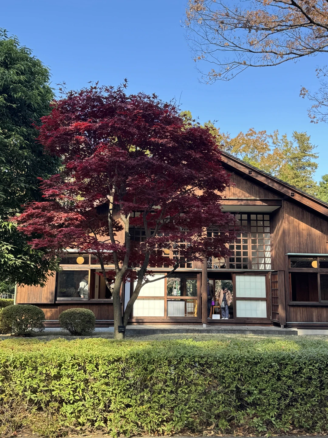 Прекрасный гид ❤️ время прошло так быстро