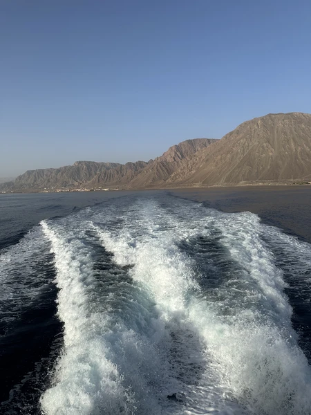 Вчера ездили на экскурсию «Иордания и древняя Петра». Всё очень понравилось, нас было три взрослых человека