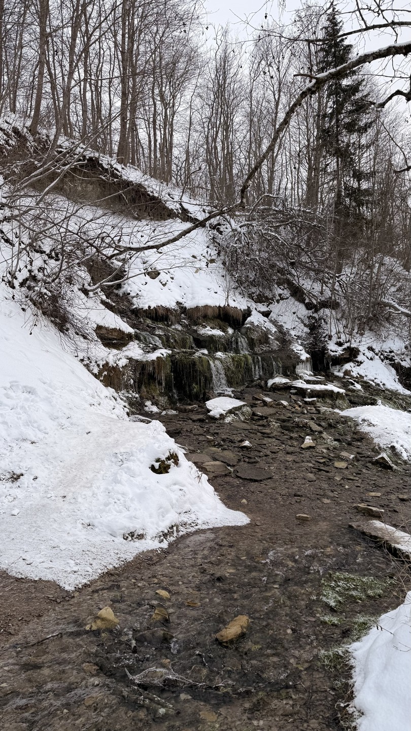 Изборск - обязательное место для посещения для гостей Пскова. Здесь прекрасная природа и отлично сохранившееся крепость