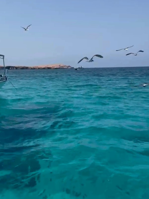 Из Маската - к необитаемым островам Дайманият