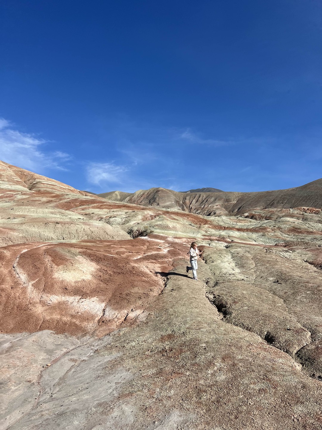 Мы приехали с мужем и дочкой в Баку на пару дней, познакомиться с городом. В первый