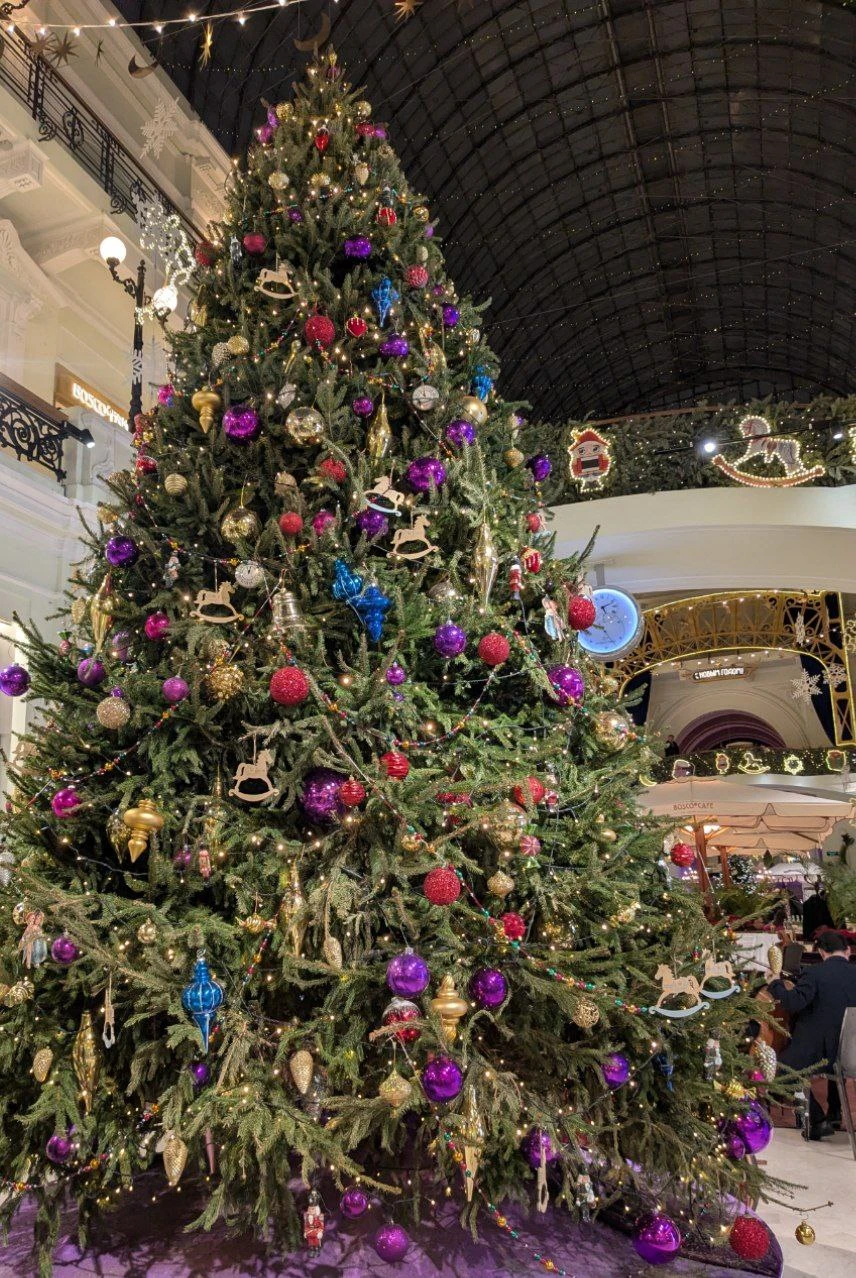 Отлично погуляли с Еленой в субботу 27 декабря по нарядной Москве. Много интересной и новой для