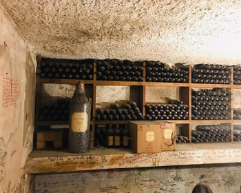 Регион Стелленбош, школа пинотажа и практика выбора блюд