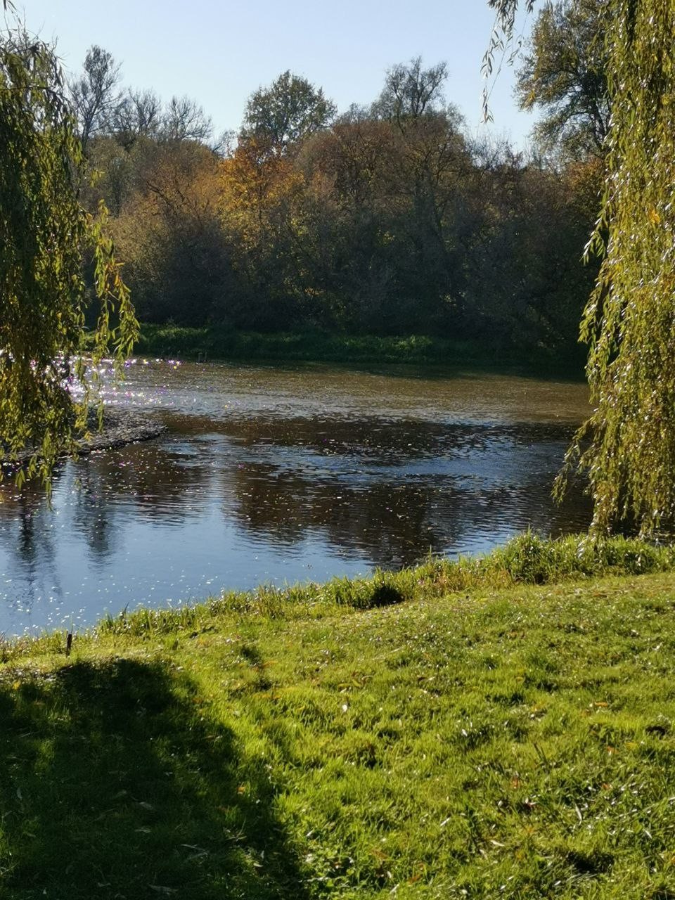 Спасибо Екатерине за прекрасную экскурсию по Бресту. Были учтены все наши пожелания и даже больше. Катя