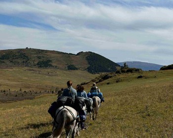 Спуск к Катуни и таёжная пасека