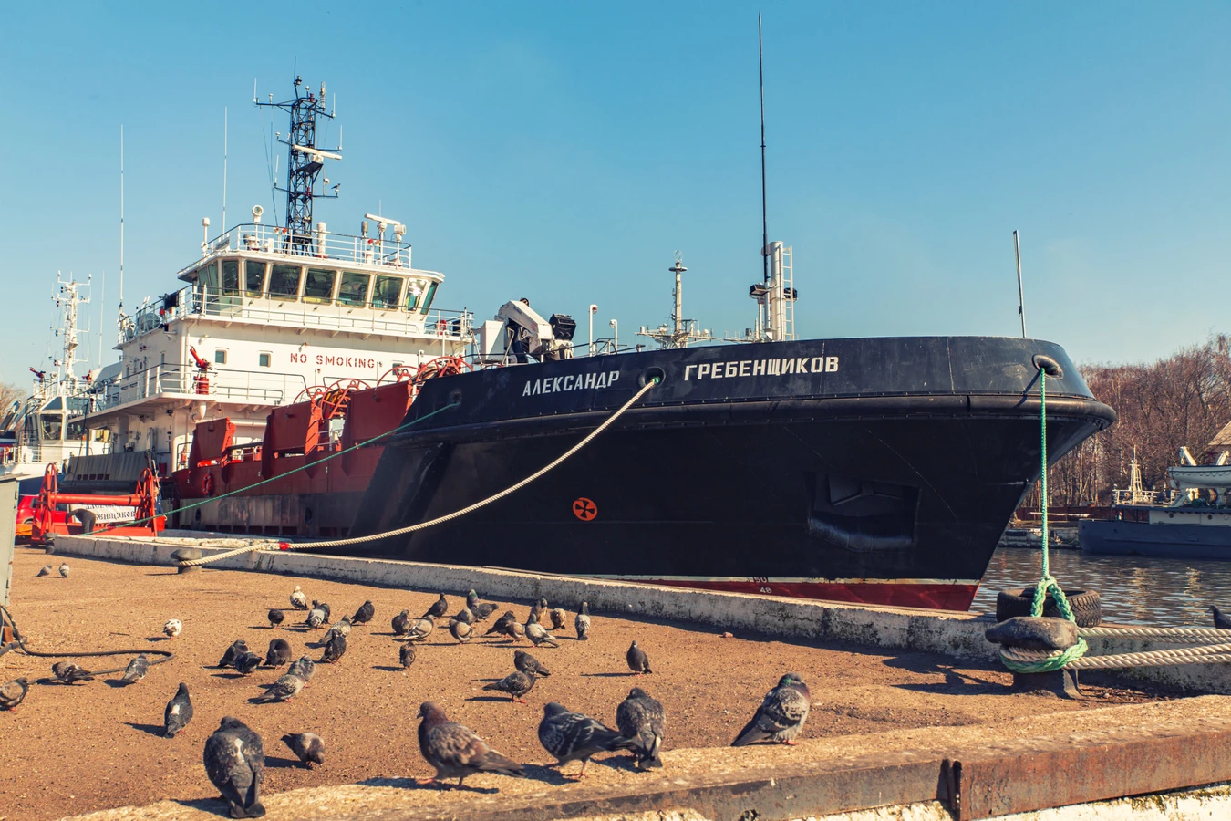 «Российскому флоту быть!» Балтийск и крепость Пиллау из Калининграда