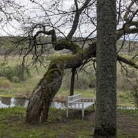 Фото отзыва 1: экскурсия "Из Пскова — в Древнюю Русь: поездка в Изборск и Печоры (на вашем авто)"