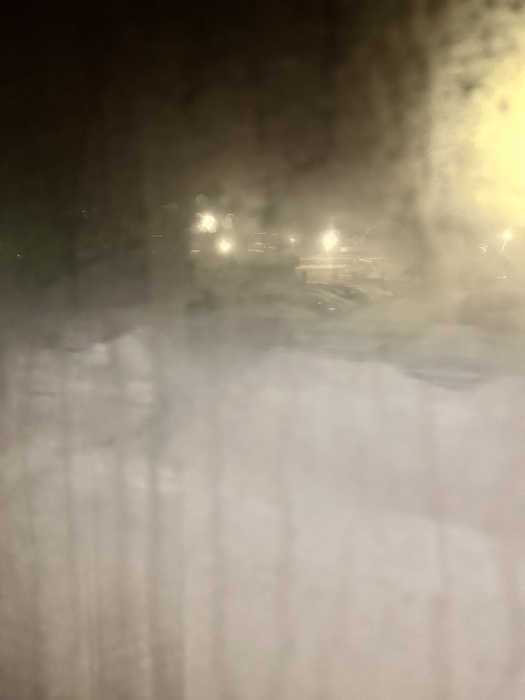 Вечерняя поездка по сверкающей Казани + колесо обозрения «Ривьера» (Анна)