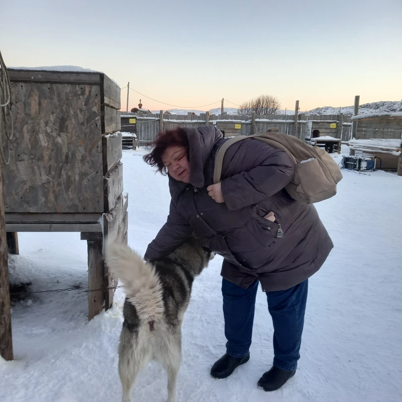Дорогие друзья. Вот и прошёл ещё один день в таком городе как Мурманск