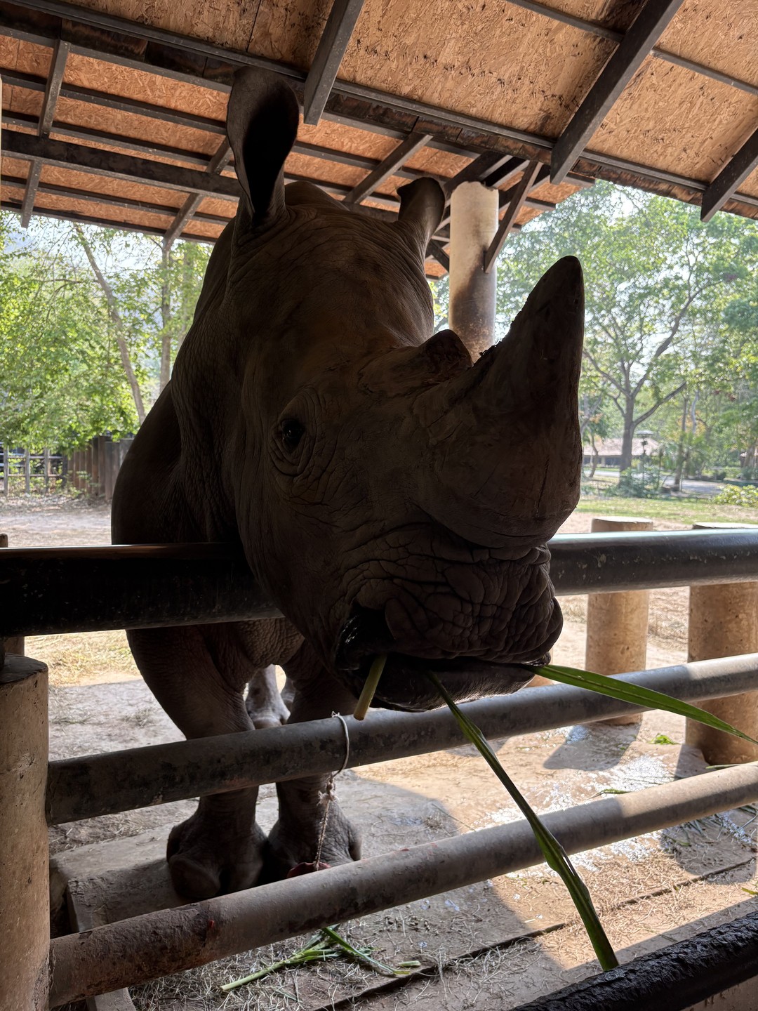 Спасибо за экскурсию по зоопарку. Очень интересно и увлекательно