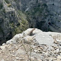 Фото отзыва 1: экскурсия "2 в 1: Сулакский каньон и бархан Сарыкум из Избербаша"