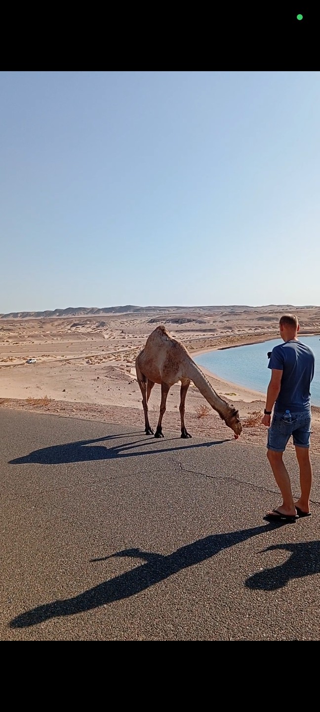 Путешествие в заповедник Рас-Мохаммед (Оксана)