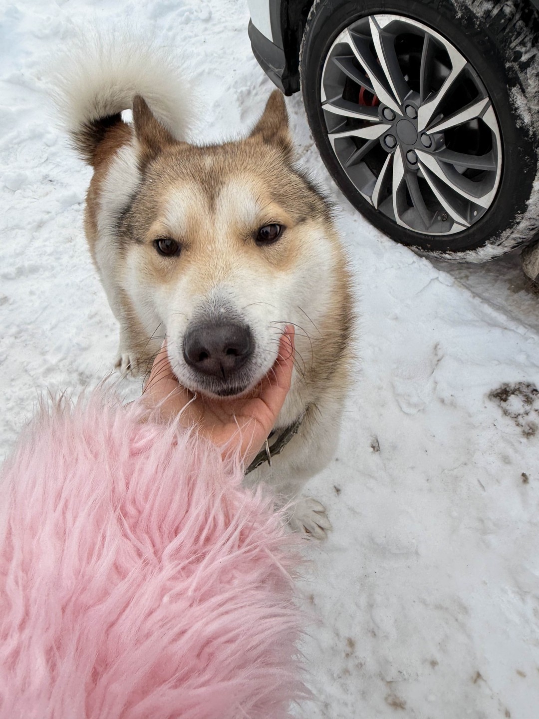 Самый крутой и хороший гид, рекомендую всех 💕