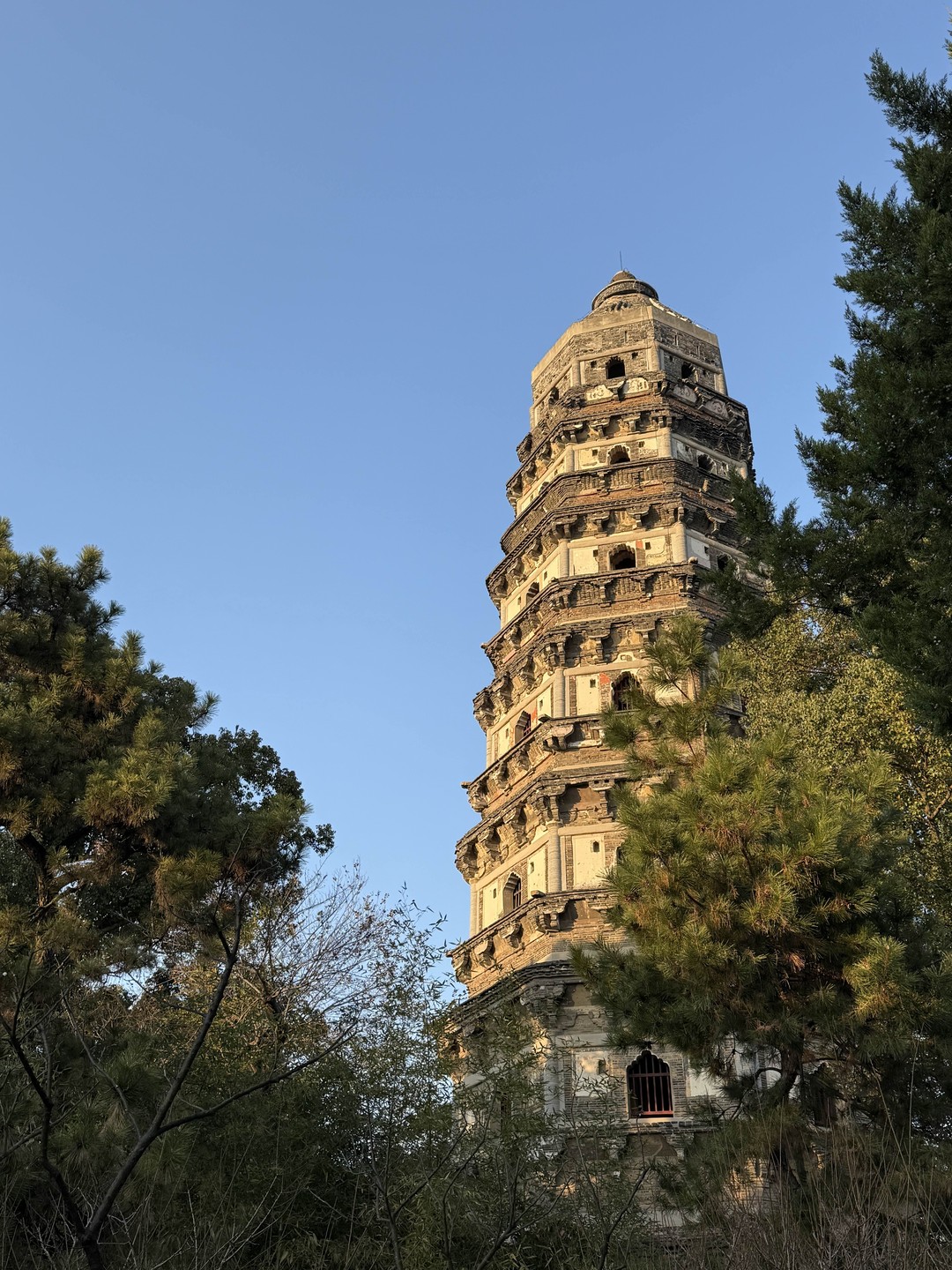 Из Шанхая - в прекрасный Сучжоу (Марина)