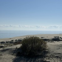 Отзыв о экскурсии "Из Зеленоградска — в сказочный мир Куршской косы" — фото 8
