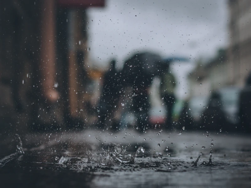 Прогулка-квест «Петербург - город наводнений»