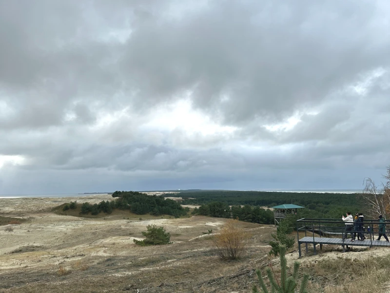 Вальс дюн в межсезонье: на Куршскую косу из Калининграда