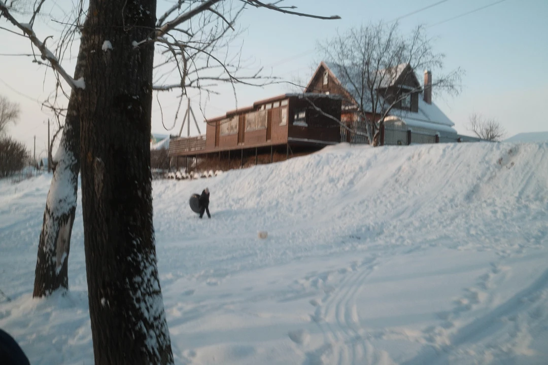 Вышла добрая поездка на лошадях в сопровождении бодрого пса Швондера. Очень хотелось посмотреть на нормальную русскую