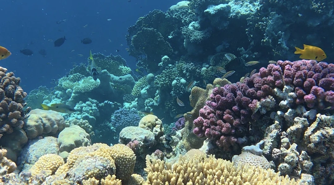 Большое спасибо Алисе за проявленную гибкость, поскольку мы запросили изменение программы и отправились из города в