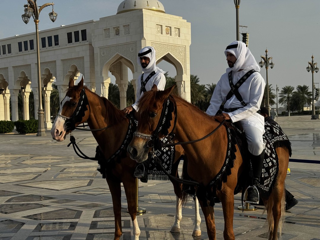 Главное об Абу-Даби (Александр)