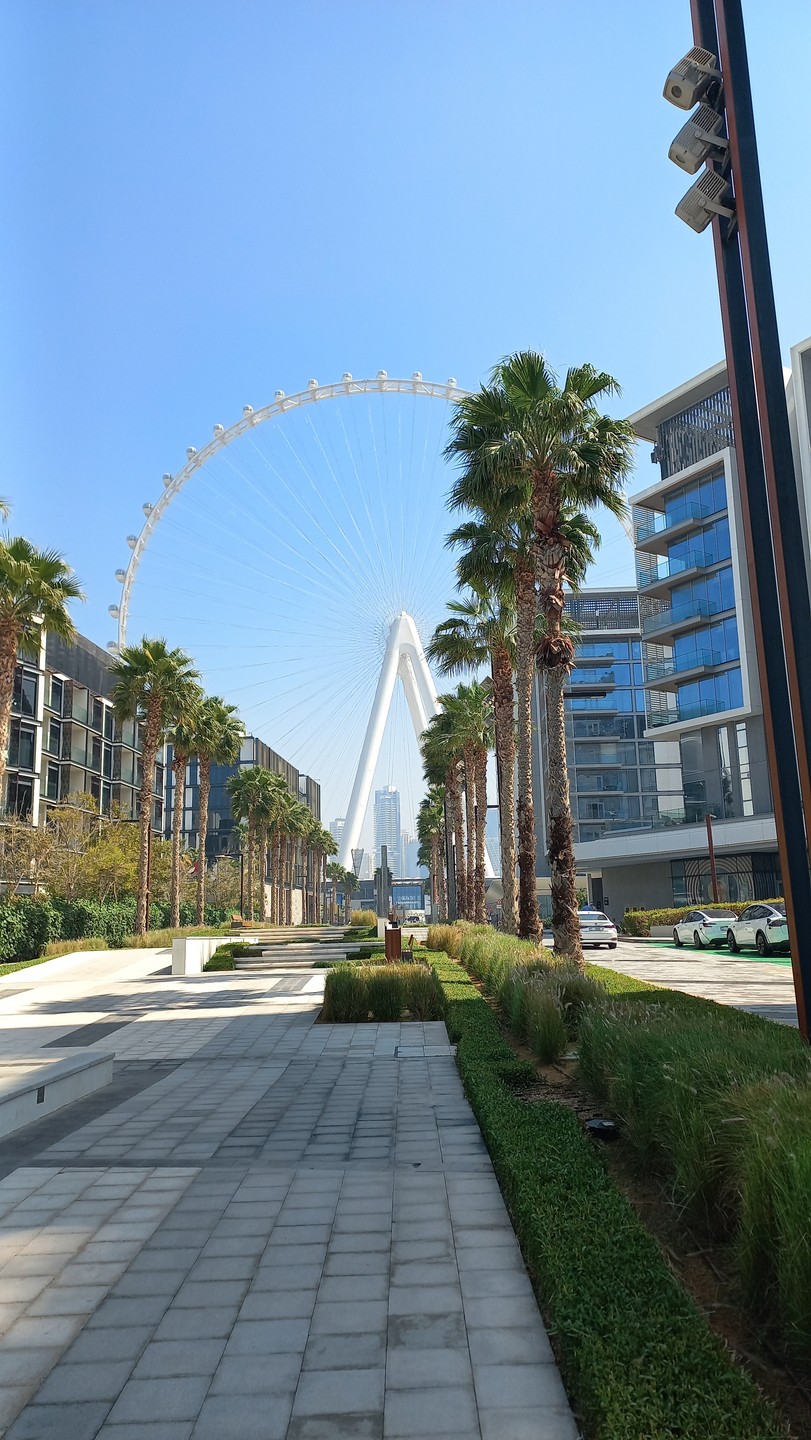 Хотя машина была полностью заполнена: 7 человек, как-то очень удачно все подобрались и было комфортно, как