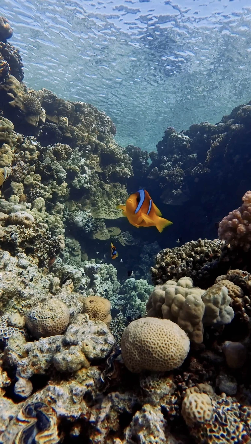 Отлично провела день в компании Анастасии, время экскурсии немного сдвинули в моих же интересов, из-за погоды,