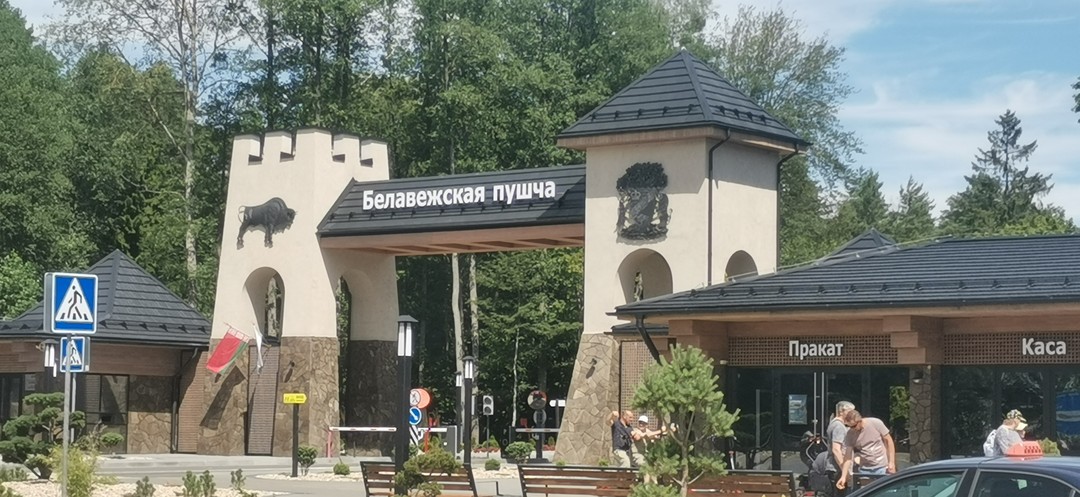 Групповая экскурсия в Брест и Беловежскую пущу (Юлия)